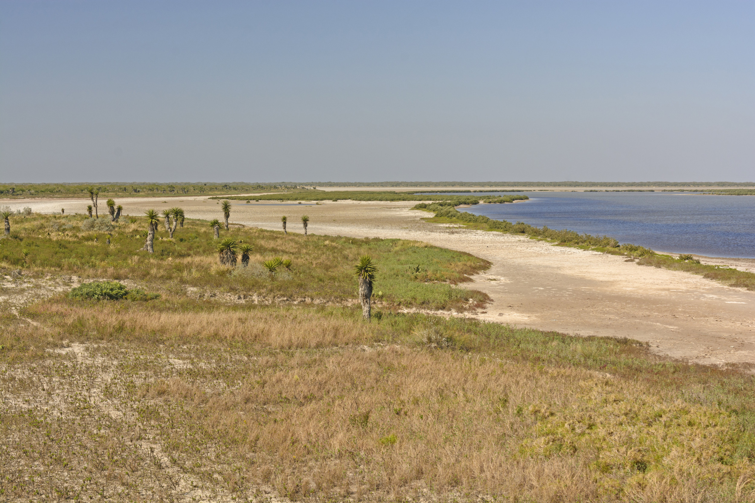 Warning Issued To Tourists At Major Texas Nature Reserves